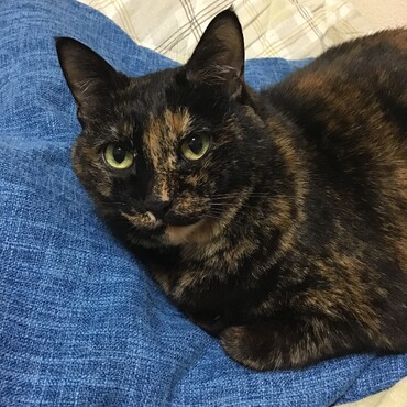 倖ちゃんはおかあさんだね