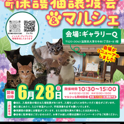 百町保護猫譲渡会＆マルシェ