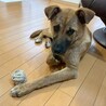 ちこ　女の子　ちょっとビビりな不思議ちゃん サムネイル5