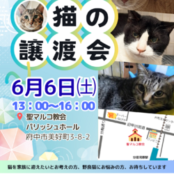 猫にゃんネットワーク府中{保護猫の譲渡会} サムネイル1