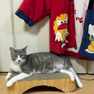 甘えん坊のモーガンくん