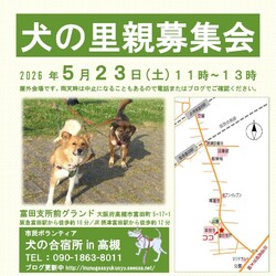 「犬の合宿所in高槻」の里親募集会