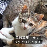 バナナ