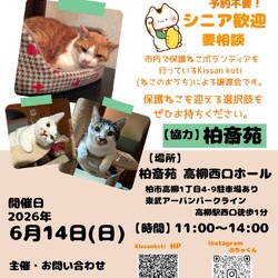 柏斎苑保護ねこ里親会
