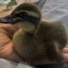 生き物大好き444 さん