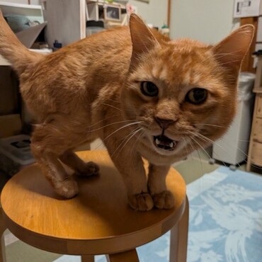 の写真