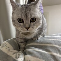 みる