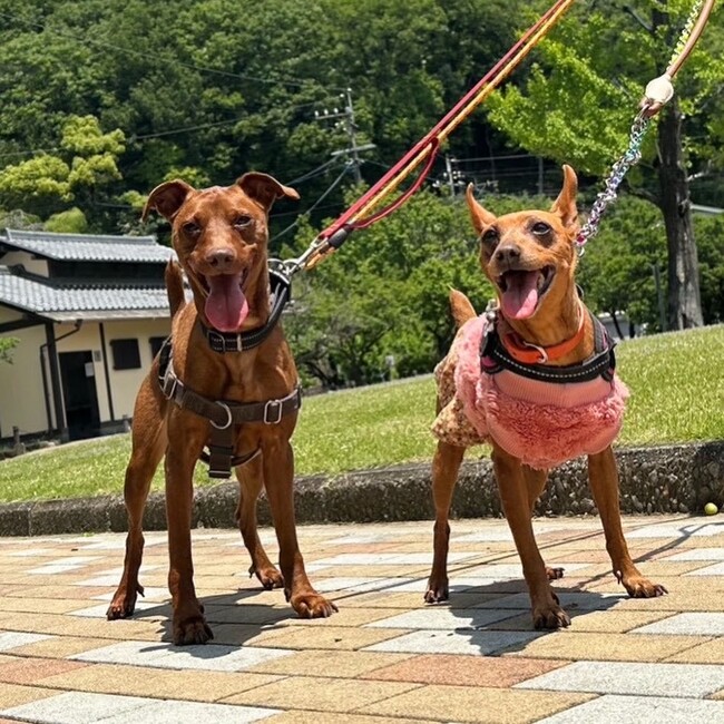 marumaru_20200208のカバー写真