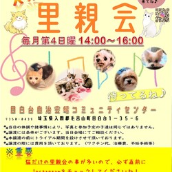 あにこり犬猫里親会 サムネイル2