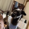 の写真