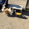 の写真
