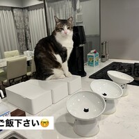 はる