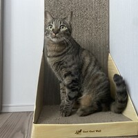 うめ