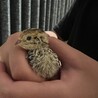 やまや0808 さん