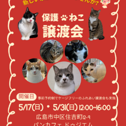 保護ねこ譲渡会