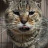 10歳 ボスくん♂ サムネイル2