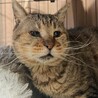 10歳 ボスくん♂ サムネイル3