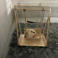 とて
