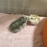 お友達と仲良し
