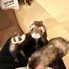の写真
