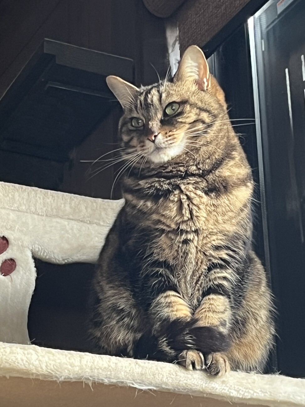 ナナ