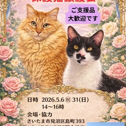 【さいたま市見沼区】5/31(日)ハレノテラス保護猫譲渡会