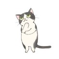 掲載終了