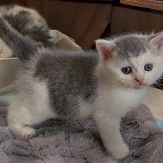 ユニークな仲良し兄妹