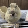 沢山のご連絡ありがとうございました！ サムネイル2
