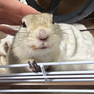沢山のご連絡ありがとうございました！