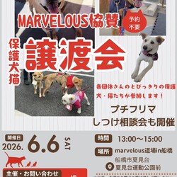 マーベラス協賛譲渡会 サムネイル1