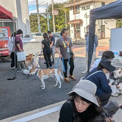 マーベラス協賛譲渡会 サムネイル3