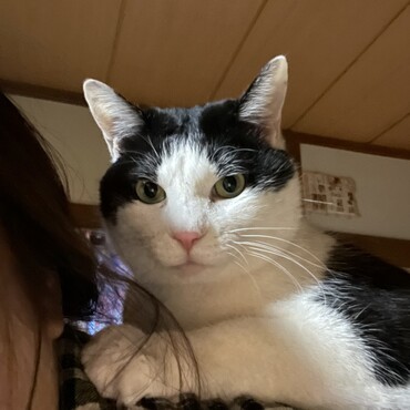 の写真