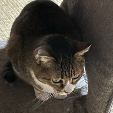 の写真
