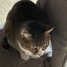 の写真