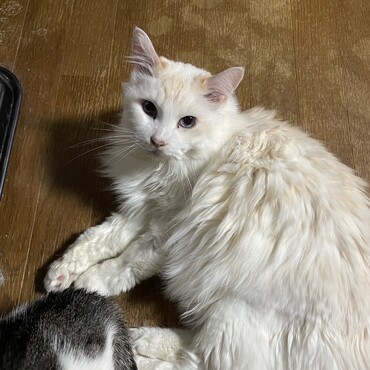 の写真