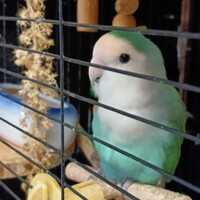 マリン