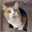 美人ギャル
