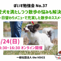 犬も満足のお散歩とは？〜ぼいすの勉強会〜