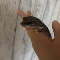 たくさんのご応募ありがとうございました