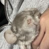 りょう021