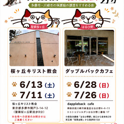 東京都多摩市聖蹟桜ヶ丘にて保護猫譲渡会開催
