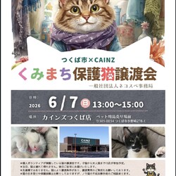 くみまち保護猫譲渡会