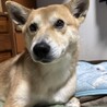 ハンデがあっても元気いっぱい