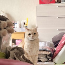 まあちゃん7歳‼️