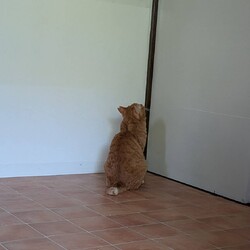 お迎えする