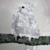 きょわちゃん