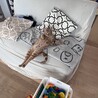 の写真