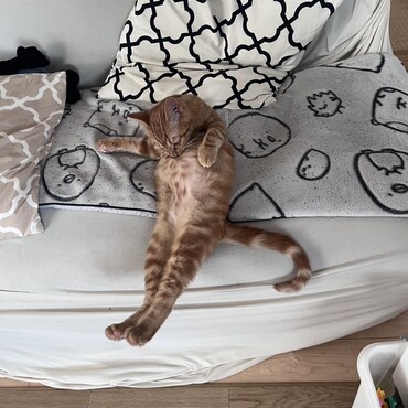 の写真