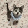 ​好奇心MAXハッピーを運ぶ冒険家♡ルカ♡ サムネイル4